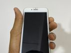 Apple iPhone 8 (Used)