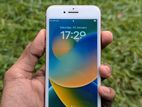 Apple iPhone 8 (Used)