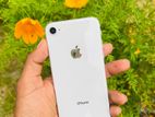 Apple iPhone 8 (Used)