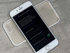 Apple iPhone 8 (Used)