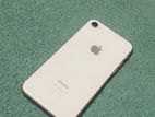 Apple iPhone 8 (Used)