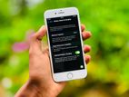 Apple iPhone 8 (Used)