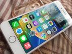 Apple iPhone 8 (Used)