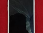 Apple iPhone 8 (Used)
