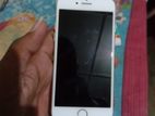 Apple iPhone 8 (Used)