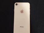 Apple iPhone 8 (Used)