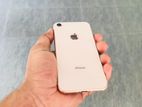 Apple iPhone 8 (Used)