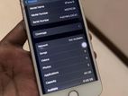 Apple iPhone 8 (Used)