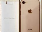 Apple iPhone 8 (Used)