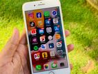 Apple iPhone 8 (Used)