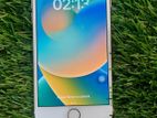 Apple iPhone 8 (Used)