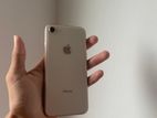Apple iPhone 8 (Used)