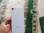 Apple iPhone 8 (Used)