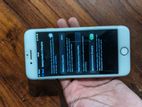 Apple iPhone 8 (Used)