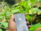 Apple iPhone 8 (Used)