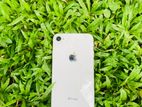 Apple iPhone 8 (Used)