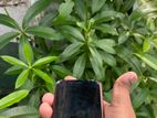 Apple iPhone SE 2 Se2 128GB (Used)