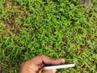 Apple iPhone SE 2 (Used)