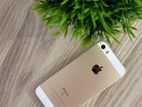 Apple iPhone SE 64GB (Used)