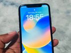 Apple iPhone X 256GB (Used)