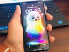 Apple iPhone X 256GB (Used)