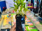 Apple iPhone X 64GB (Used)