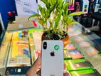 Apple iPhone X (Used)