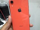 Apple iPhone XR 128GB (Used)