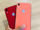 Apple iPhone XR 128GB (Used)