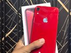 Apple iPhone XR 128GB (Used)