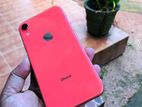 Apple iPhone XR 128GB (Used)