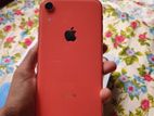 Apple iPhone XR 2014 (Used)