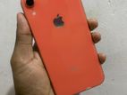 Apple iPhone XR 2019 (Used)