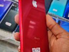 Apple iPhone XR 256GB (Used)