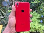 Apple iPhone XR 256GB (Used)