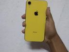 Apple iPhone XR 64GB (Used)