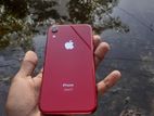 Apple iPhone XR 64 GB (Used)