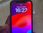 Apple iPhone XR 64 GB (Used)