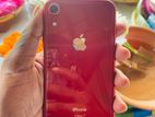 Apple iPhone XR 64GB (Used)