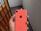 Apple iPhone XR 64GB (Used)