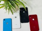 Apple iPhone XR 64Gb (Used)