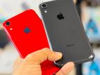 Apple iPhone XR 64GB (Used)