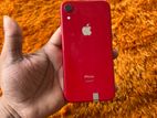 Apple iPhone XR 64GB (Used)