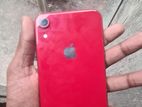 Apple iPhone XR 64GB (Used)