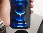 Apple iPhone XR 64GB (Used)