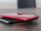 Apple iPhone XR 64GB (Used)