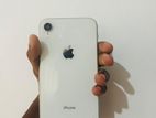 Apple iPhone XR (Used)