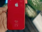 Apple iPhone XR 64GB (Used)