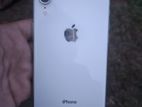 Apple iPhone XR (Used)