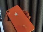 Apple iPhone XR (Used)